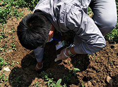 華清環(huán)境土壤采樣